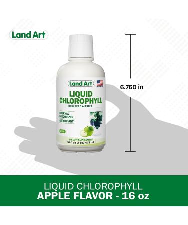 Liquid Chlorophyll Apple Flavored Cold Extracted from Wild Non-GMO Alfalfa - Alkaline - Natural Body Deodorant Antioxidant - 16 fl oz - Buy Online on GoSupps.com