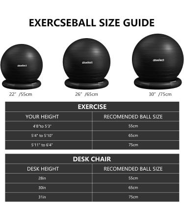 HBselect Exercise Ball Chair + Anti-Slip Base & Resistance Bands | 65cm Black Swiss Gym Ball for Yoga Pilates Pregnancy | Anti-Burst & Extra Thick - Buy Online on GoSupps.com