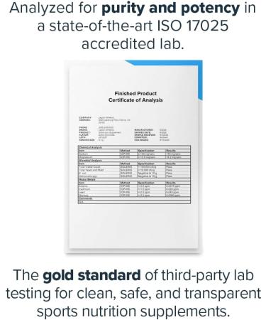 LEGION Elevate Mushroom Supplement Powder - Mushroom Blend of Lions Mane Powder Reishi Powder & Beta-Glucan- Mushroom Powder to Boost Immune System Mood & Performance Dutch Chocolate (30 Servings) - Buy Online on GoSupps.com