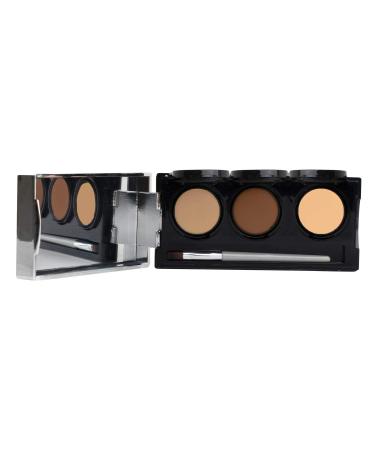 Dermaflage Waterproof Concealer Palette 3 Colors Medium