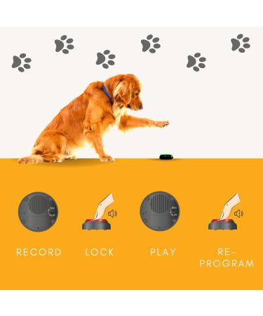 Dog training talking buttons | Commandog touch recordable talking dog buzzer train your dog to talk with dog communication buttons | Easy to use dog training buttons | 4pk talking buttons for dogs |UK - Buy Online on GoSupps.com