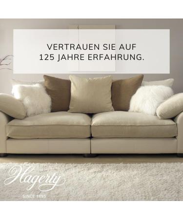 Hagerty Dry Shampoo Carpet Cleaning Powder 500g | Gentle Stain Remover for Carpets Floors & Upholstery | Ideal for Sensitive Fabrics - Buy Online on GoSupps.com