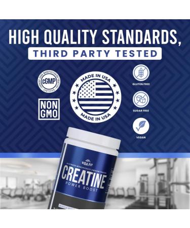 Vida Fit Creatine Monohydrate Micronized Powder Vegan Unflavoured NSF Certified Pure Pre-Wokout & Recovery Supplement 30 Servings (150g) and 60 Servings (300g) for Men & Women - Buy Online on GoSupps.com
