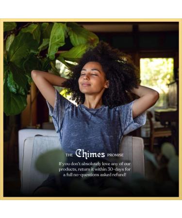 Calming Cacao Adaptogen Ginger Chews - Vegan Gluten Free Candy with Ashwagandha, Reishi, and Dark Cacao - Buy Online on GoSupps.com