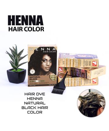 30 Minute Natural Black Hair Dye - Chemical-Free Semi-Permanent Powder for Men & Women | Herbal Ingredients - Buy Online on GoSupps.com