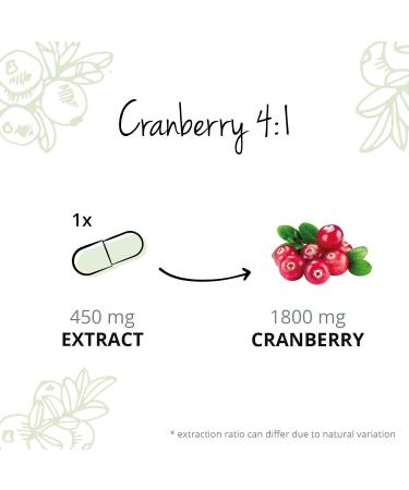 Organic Cranberry Extract Vegavero | 180 Capsules | Natural Support for Urinary Infections | Vegan-Friendly and Additive-Free - Buy Online on GoSupps.com