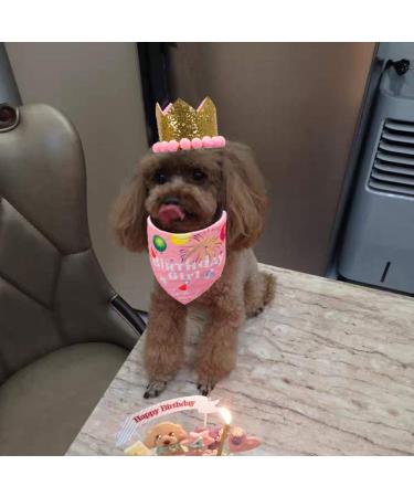 ADOGGYGO Dog Birthday Bandana Hat Set - Pink Scarf & Crown for Small Medium Dog | Puppy Party Supplies - Buy Online on GoSupps.com