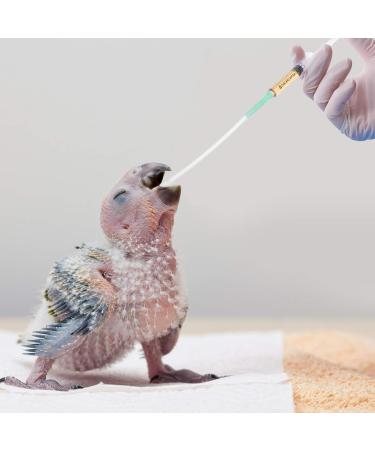 Buy 3-Piece Baby Bird Hand Feeder Spray - Parrot & Young Birds Feeding Accessories - Random Color - Buy Online on GoSupps.com