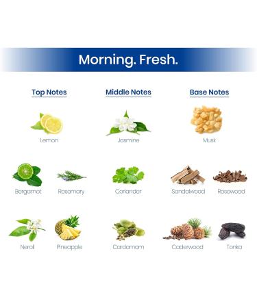 Perfume For Unisex| Tokyo Premium Fragrances For Men 100ml | Fresh & Soothing Fragrance Xtremo Scent For Men Eau De Parfum |Pack of 1 - Buy Online on GoSupps.com