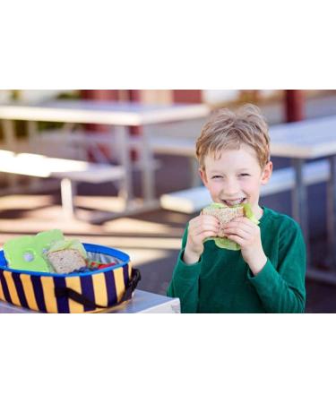 Healthy Packers Slim Long-Lasting Ice Packs - Green Gel Ice Packs for Coolers or Lunch Box (8-Pack) - Buy Online on GoSupps.com