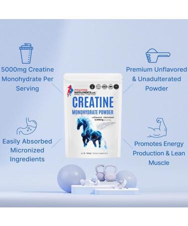 Creatine Monohydrate Powder 500 Grams (1.1 Lb) 5000mg Per Serv Micronized Creatine Powder Unflavored Pure No Filler Keto & Vegan Easy Dissolve Pre Workout Creatine for Women and Men - Buy Online on GoSupps.com