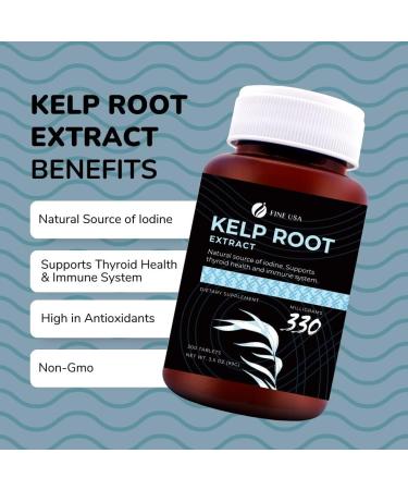 Fine USA Kelp Root Extract for Healthy Thyroid & Immune System | Natural Source of Iodine, Fucoidan & Magnesium | Vegan Non-GMO | Ethically Sourced in Japan - 300 x 300mg - Buy Online on GoSupps.com