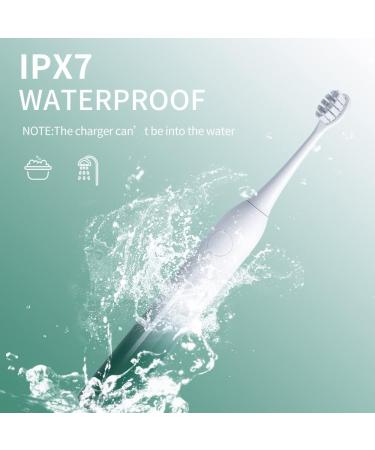 Buy Electric Sonic Toothbrush - High Power Rechargeable & Water-Resistant (Green) | International Shipping Available - Buy Online on GoSupps.com