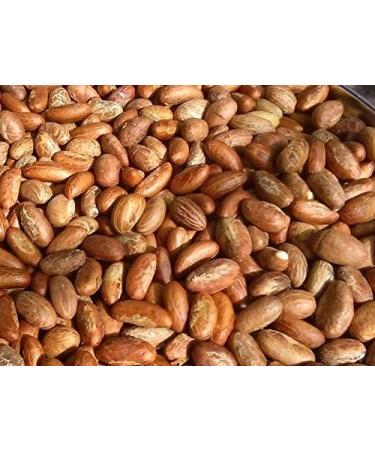 Bitter Kola Fresh Garcinia Kola Approx 400g - Buy Online on GoSupps.com