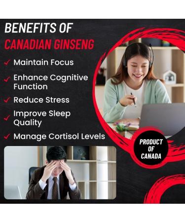 Canadian Vita Ginseng Supplement Capsules - Pure Ginseng Root Powder - Energy/Immunity/Focus/Stress Relief - 500 mg/Capsule - Buy Online on GoSupps.com