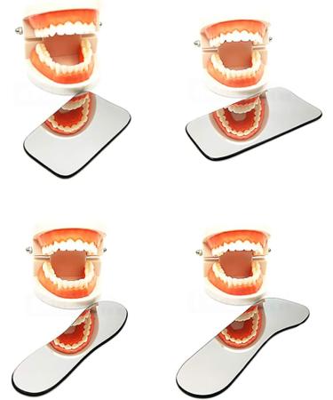 5-Piece Dental Mouth Mirror Set | Standard Toothing Model for Intraoral Photography | Stainless Steel Occlusal Reflector & Orthodontic Photo Index - Buy Online on GoSupps.com