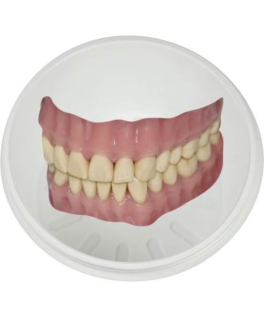 Medi-Inn Denture Cup - Tooth Container & Braces Box with Sieve & Screw Lid | White (1 Piece) - International Shipping Available - Buy Online on GoSupps.com