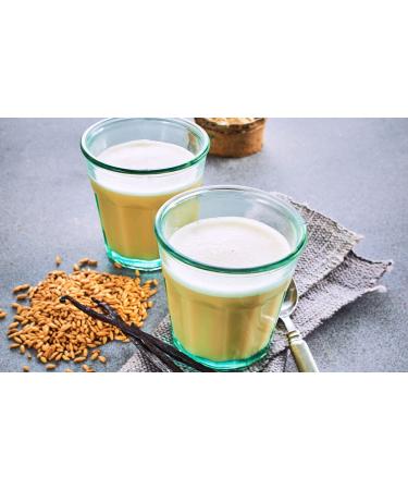 Shop Vegan Vanilla Oat Drink Powder | Gluten-Free Herbal Drink | 400g - Additive-Free & International Shipping - Buy Online on GoSupps.com