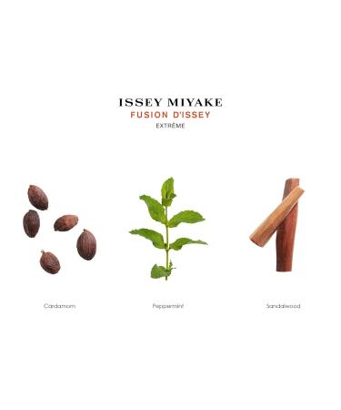 Fusion D'issey Extreme by Issey Miyake Eau De Toilette Intense Spray 3.3 oz for Men - Buy Online on GoSupps.com