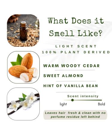 Conditioner Bar - Hydrating Anti-Frizz for Dry Hair | Cedarwood Argan & Sweet Almond Oil | Travel Essential | USA 1-pk - Buy Online on GoSupps.com