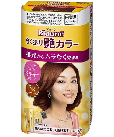 Kao Blaune Easy Painting Gloss Hair Color - 3 R Rose Brown (Green Tea Set) - Buy Online on GoSupps.com