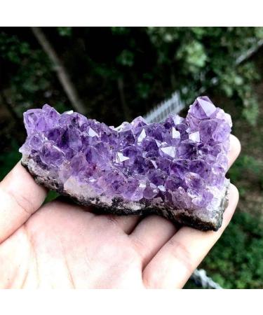 Amethyst Stones Crystal Decorative Stones Geode Irregular Natural Amethyst Cluster Quartz Home Decor Natural Stone Home furnishings Crystal Cluster (Color : 200g Size : Mix Random) Mix random 200g - Buy Online on GoSupps.com