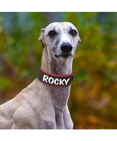 Durable PU Leather Padded Dog Collar for Medium & Large Breeds | Heavy Duty Metal Buckle Adjustable Fit (Neck 33-41cm) - Perfect for Pit Bulls | Black - Buy Online on GoSupps.com