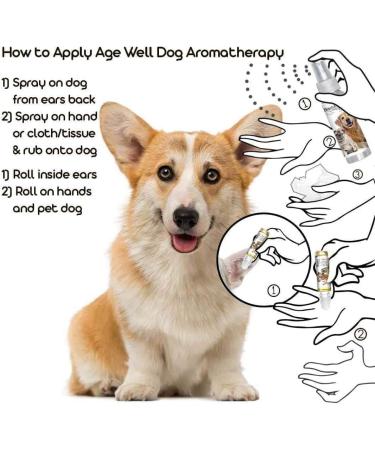 Corgi Age Well Dog Aromatherapy Roll-On 0.45-Ounce Roll-On Corgi - Buy Online on GoSupps.com