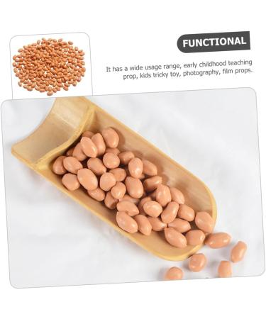 ABOOFAN 5pcs 1 Educational Peanut Prop Peanut Kernels Prop Food Toy Lifelike Peanut Artificial Peanut Kernels Peanut Model Fake Nut Ornament Kitchen Realistic Food Play Decoration Fake Pvc - Buy Online on GoSupps.com