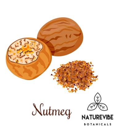 Naturevibe Botanicals Organic Nutmeg Whole 1.76oz (50gm) | Non-GMO, Gluten Free Indian Spice - Buy Online on GoSupps.com