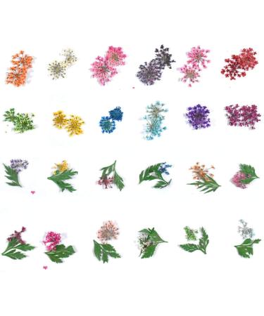 Pinsheng Dried Flower Nail Art Set - 24 Colors 3D Tiny Natural Flowers & Leaves with Curved Tweezers for Stunning Nail Designs - International Shipping Available - Buy Online on GoSupps.com