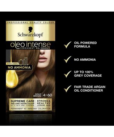 Schwarzkopf Oleo Intense Brown Hair Dye 3-Pack Permanent Oil Colour No Ammonia Covers Greys Gold Brown 4-60 Gold Brown 3 count (Pack of 1) - Buy Online on GoSupps.com