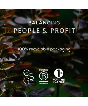 Ancient + Brave | True Nightcap 180g Jar | Zinc Magnesium Vitamin C Rich in Amino Acids | Helps Digestion Restores & Rejuvenates Sleep | Warm Lemon & Ginger Note - Buy Online on GoSupps.com