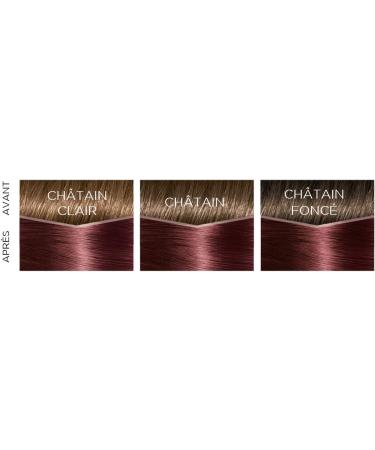  L'Oreal Paris L'Or al Paris - Casting Cr me Gloss - 426 - Auburn Gourmand - Ammonia-free - Honey-infused - Optimal gray coverage - Pack of 2 - Buy Online on GoSupps.com