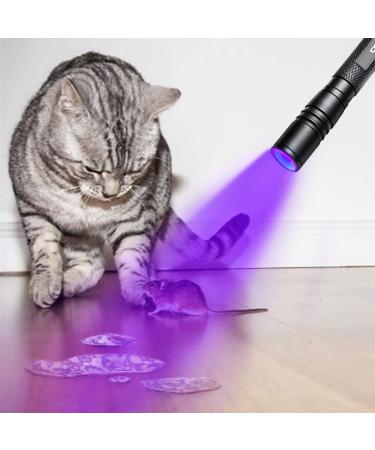Geekhigh UV Flashlight - LED 395NM Waterproof Black Light for Pet Urine Bed Bugs & Scorpion Detection | Zoomable & IP54 Rated - Buy Online on GoSupps.com