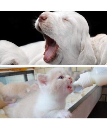 7 Pcs Cat Nursing Bottle 60ml Pet Feeding Bottle with Replacement Nipples and Cleaning Brushes for Pet Puppy Cat Kitten Rabbit - Buy Online on GoSupps.com