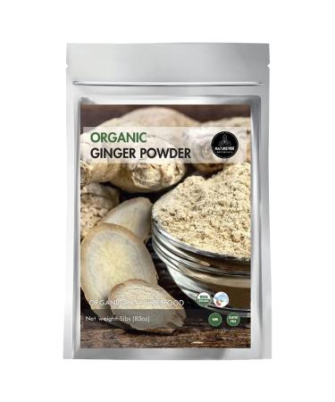 Naturevibe Botanicals Premium Organic Ginger Root Powder (5lb), Zingiber officinale Roscoe | Keto Friendly | Non-GMO and Gluten Free 5 Pound (Pack of 1)