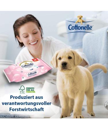 Cottonelle Moist Toilet Paper Maxi Pack - Sensitive & Nourishing Biodegradable Perfume-Free 12x84 Towels | International Shipping Available - Buy Online on GoSupps.com