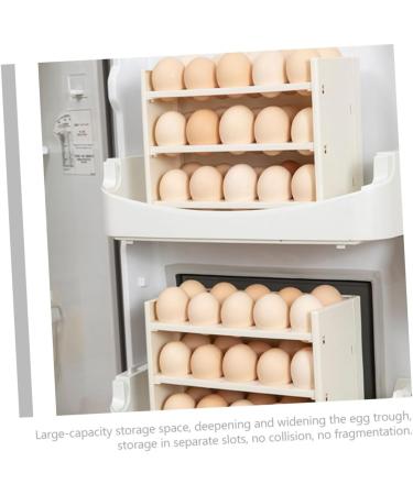 FELTECHELECTR Holder Preservation Refrigerator Container Multi-layer Rack Supply Storage Kitchen Household for - Buy Online on GoSupps.com