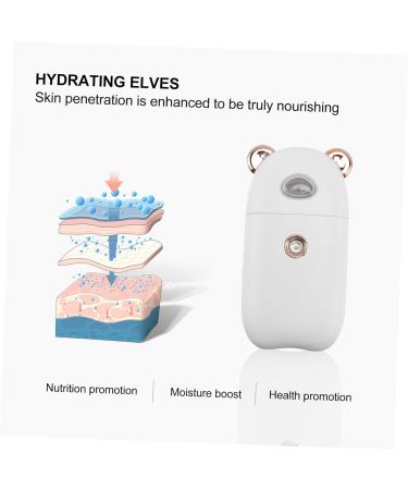 Balacoo 2 Pcs Beauty Humidifier Handheld Hair Steamer Hand Held Steamer Skin Moistener Portable Face Steamer - Buy Online on GoSupps.com