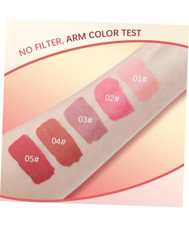 Healeved 10 Pcs Blush Makeup Face Creamy Eyeshadow Sheer Flush Facial Beauty Cosmetic Pigment Pigment - Buy Online on GoSupps.com