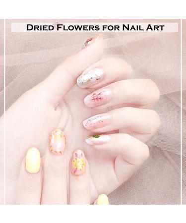 Kingmas 12 Colors Dried Flowers Nail Art Supplies - Mini Real Natural 3D Applique Decoration Sticker - Buy Online on GoSupps.com
