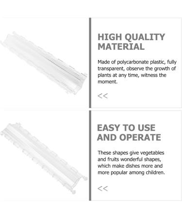 POPETPOP 2 Pcs Pentagram Mold Vegetables Vegetable Grow Forming Fruit Shaping Mould Stereotypes Strawberry - Buy Online on GoSupps.com