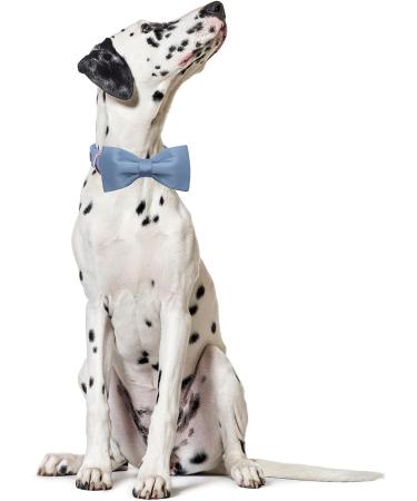 Lionet Paw's Comfortable Silk Blue Dog Collar with Removable Fly for Small Dogs - Neck 25-40cm (1 Pack) - International Shipping Available - Buy Online on GoSupps.com