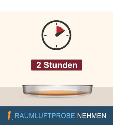 Indoor Air Mold Test Kit - Professional Laboratory Analysis for 1 Room - Accredited Mold Testing Made Easy - Buy Online on GoSupps.com