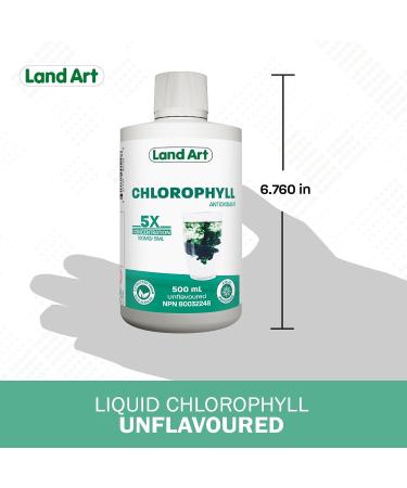 Liquid Chlorophyll Unflavoured 5X Concentrated 500ml Cold Extracted from Non-GMO Alfalfa - Detox - Alkaline - Natural Body Deodorant Antioxidant - Made in Canada - Buy Online on GoSupps.com