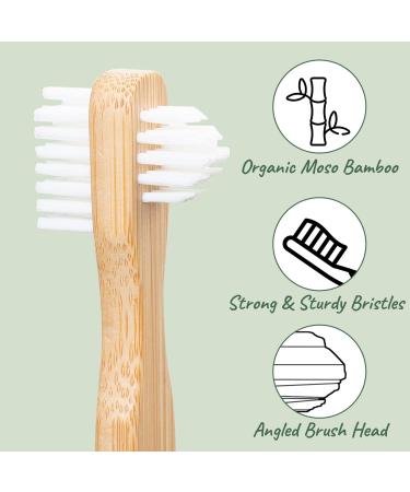 Denture Cleaning Tablets for Smokers - 120 Bundle with Bamboo Brush | Effective Care for Full & Partial Dentures - Buy Online on GoSupps.com