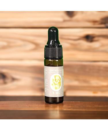 Essential Oil Leather Wrist Band with Wool Activator Disc - Brown | Aromatherapy Bracelet for Wellness - Buy Online on GoSupps.com