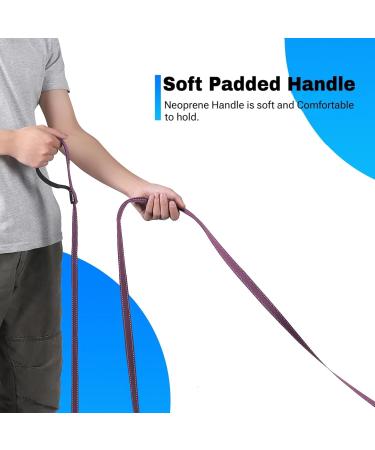 Shop Loutep Reflecting Training Lines for Dogs - Extra Long Leashes (3m-30m) | Strong Nylon Padded Handle Reflective Violet for All Sizes - Buy Online on GoSupps.com