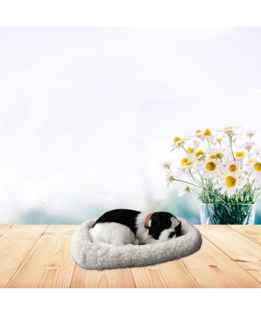 Bagima Sleeping Cat Toys | Breathing Plush Cat Dolls & Soft Mats | Perfect Home D cor & Kids' Gifts - Buy Online on GoSupps.com